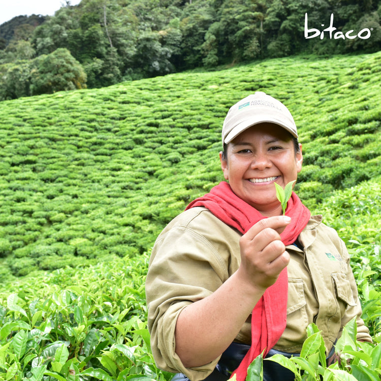 Bitaco